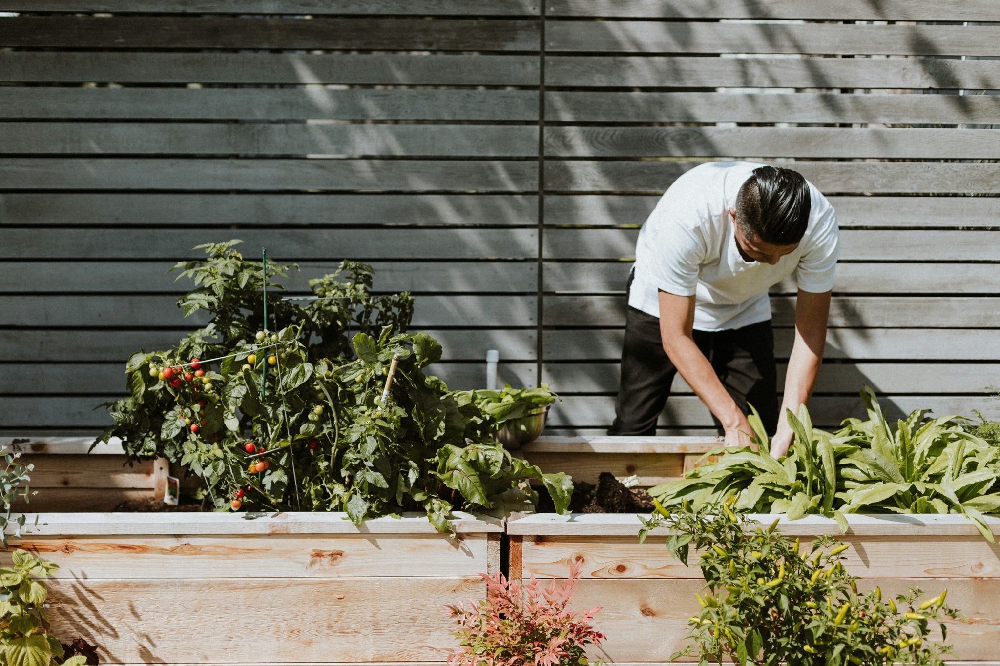 Gardener's Best Friend: Eco-Friendly Gardening Cleanup After a Day in the Dirt