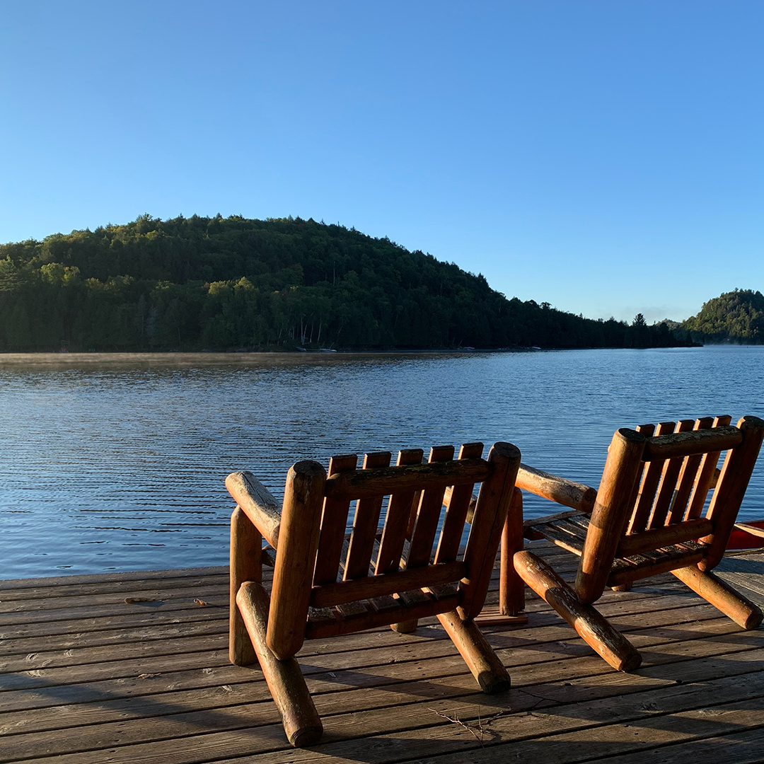 Septic Safe Products: What’s the best laundry detergent for septic