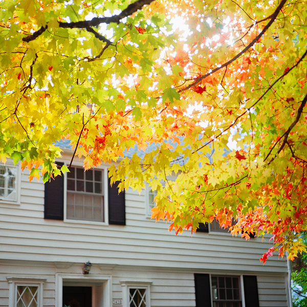 5 Tips For An Ecofriendly Fall Yard Cleanup