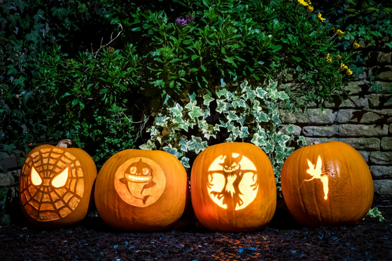 Confessions of a Pumpkin Carver: The Sticky Mess Survival Guide