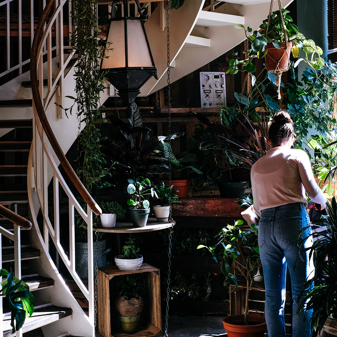 20 New Year's Resolutions for Green Living