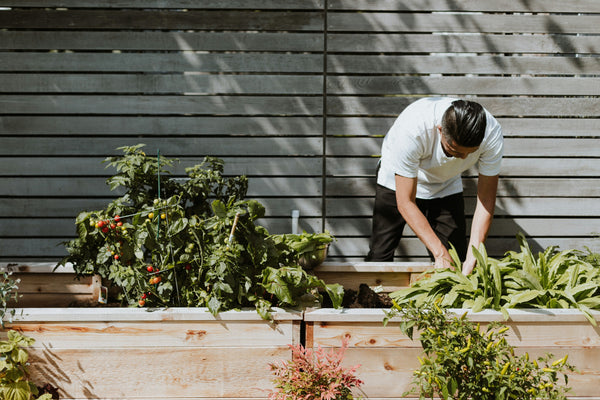 Gardener's Best Friend: Eco-Friendly Gardening Cleanup After a Day in the Dirt