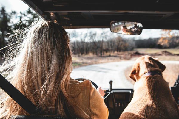 Hit the Road, Green Style: Your Guide to an Eco-Friendly Road Trip