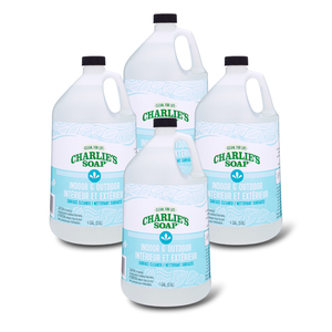 Bulk Case Charlie's Soap Indoor/Outdoor Surface Cleaner 3.8 Litres