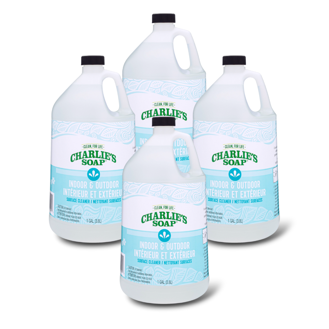Bulk Case Charlie's Soap Indoor/Outdoor Surface Cleaner 3.8 Litres